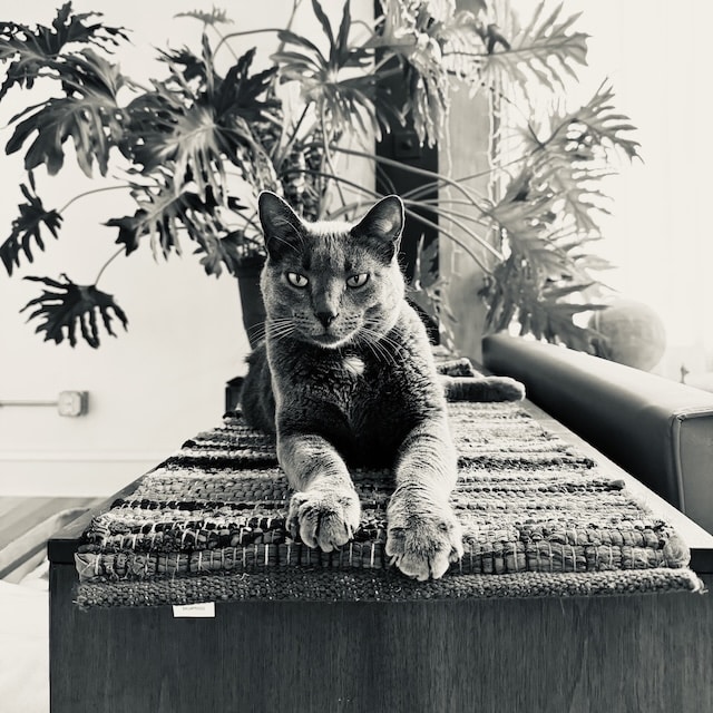 Photo of Eero